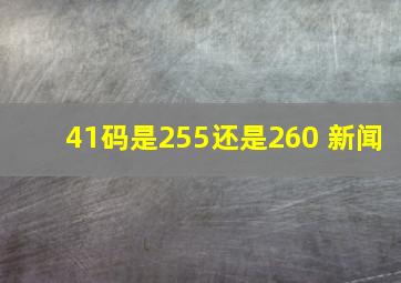 41码是255还是260 新闻